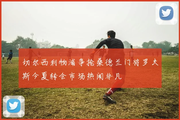 切尔西利物浦争抢桑德兰门将罗夫斯今夏转会市场热闹非凡